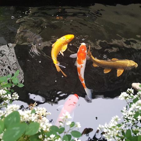Vuon Tra Homestay Mang Den Kon Von Kla エクステリア 写真