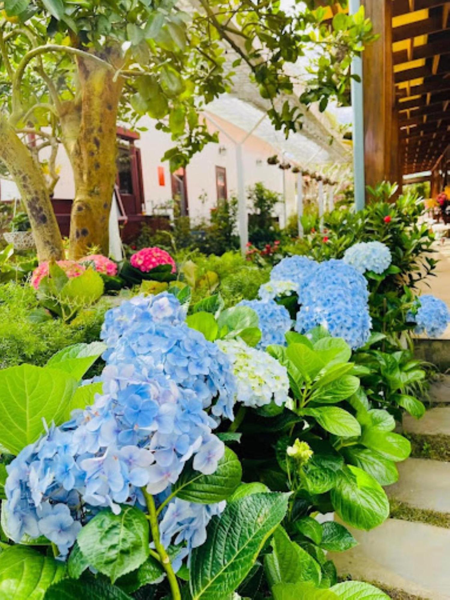 Vuon Tra Homestay Mang Den Kon Von Kla エクステリア 写真