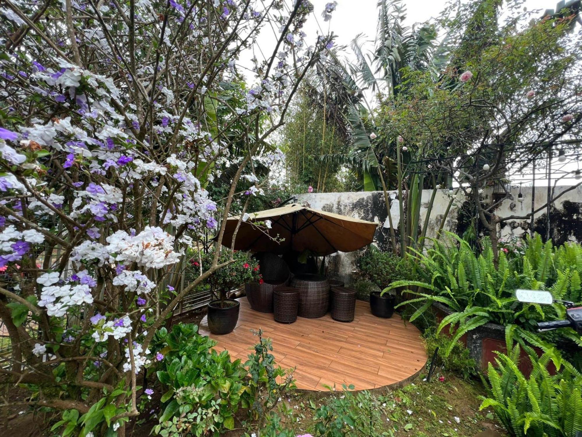 Vuon Tra Homestay Mang Den Kon Von Kla エクステリア 写真