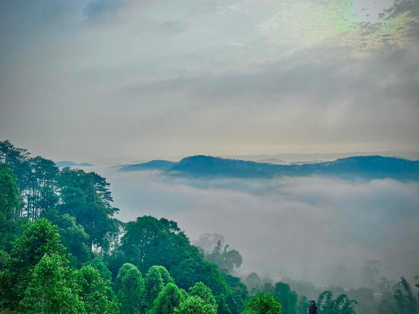 Vuon Tra Homestay Mang Den Kon Von Kla エクステリア 写真