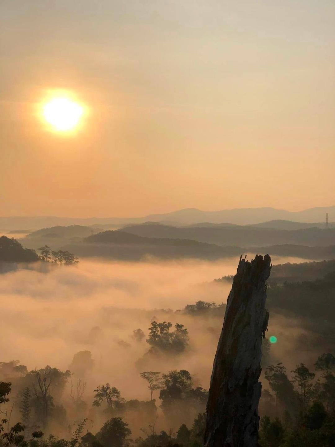 Vuon Tra Homestay Mang Den Kon Von Kla エクステリア 写真